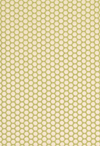 Sprinkle Spring 62274 by Schumacher Fabric