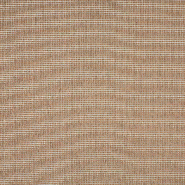 6236 Beach by Charlotte Fabric Ring Book Page #73 100% Woven Polyester Asia Exceeds 54,000 Wyzenbeek Rubs (Heavy Duty) No Repeat 54 Inches - Fabric Carolina -