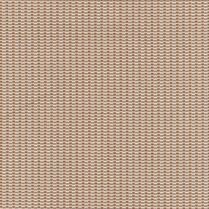 Canyon Weave Charcoal 62393 by Schumacher Fabric BY NATURE ORGANIC COTTON 100% CHILE WYZENBEEK 18,000 </p><p>Repeat: Horizontal: 1/4" (1CM) and Vertical: 1/8" (0CM) 54 - Fabric Carolina -