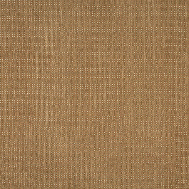 6239 Camel by Charlotte Fabric Ring Book Page #73 100% Woven Polyester Asia Exceeds 54,000 Wyzenbeek Rubs (Heavy Duty) No Repeat 54 Inches - Fabric Carolina -