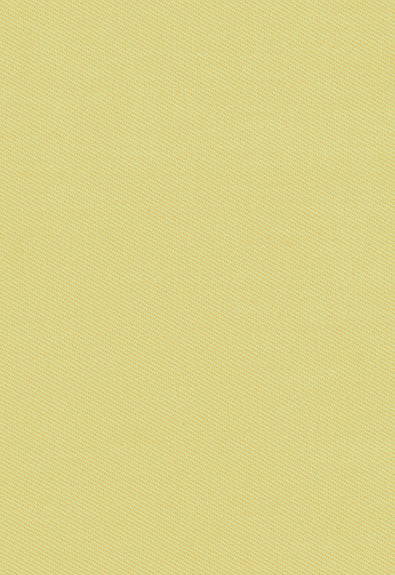 Valley Twill Leaf 62427 by Schumacher Fabric By-Nature 100% Organic Wyzenbeek 28,000 Horizontal: - and Vertical: - 54 - Fabric Carolina -
