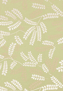 Locust Leaves Fern 62440 by Schumacher Fabric