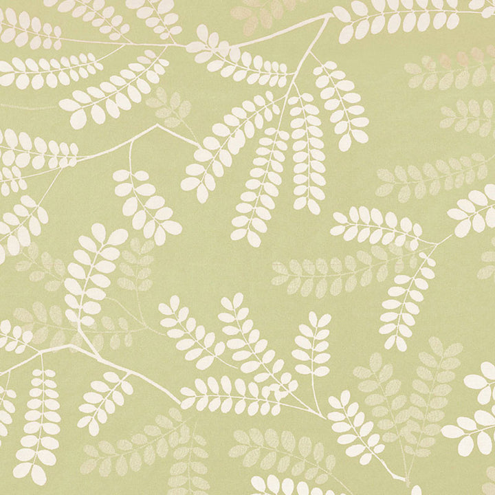 Locust Leaves Fern 62440 by Schumacher Fabric BY NATURE ORGANIC COTTON 100% CHILE WYZENBEEK 22,000 </p><p>Repeat: Horizontal: 25 1/2" (65CM) and Vertical: 26" (66CM) 54 - Fabric Carolina -