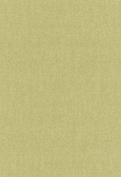 Stone Texture Fern 62463 by Schumacher Fabric By-Nature 100% Organic Martindale 18,000 Horizontal: - and Vertical: - 56 - Fabric Carolina -