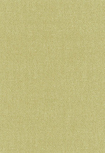 Stone Texture Fern 62463 by Schumacher Fabric