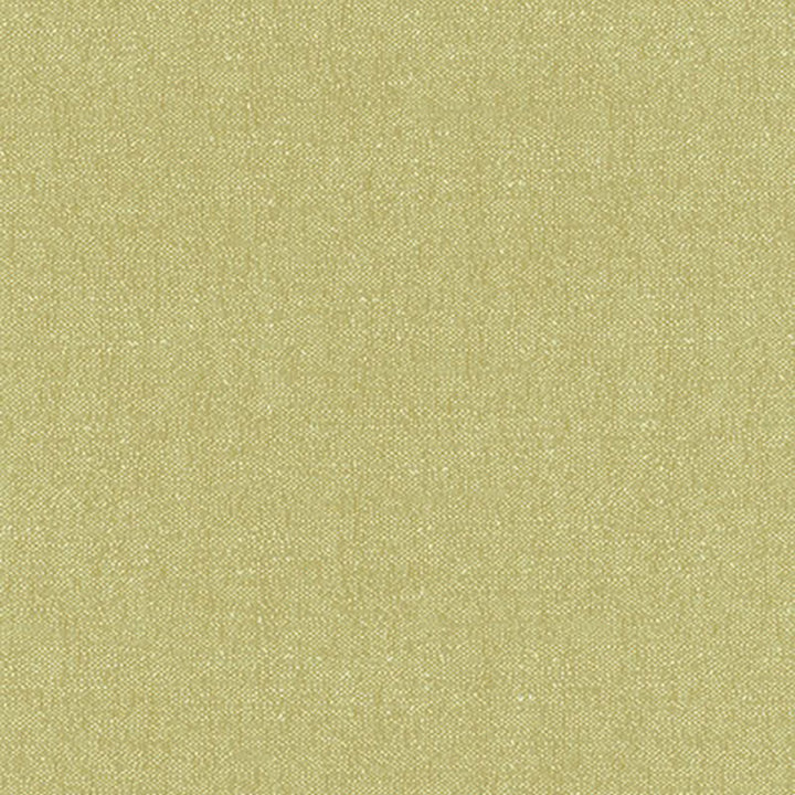 Stone Texture Fern 62463 by Schumacher Fabric BY NATURE ORGANIC COTTON 100% FRANCE MARTINDALE 18,000 </p><p>Repeat: Horizontal: and Vertical: 56 - Fabric Carolina -