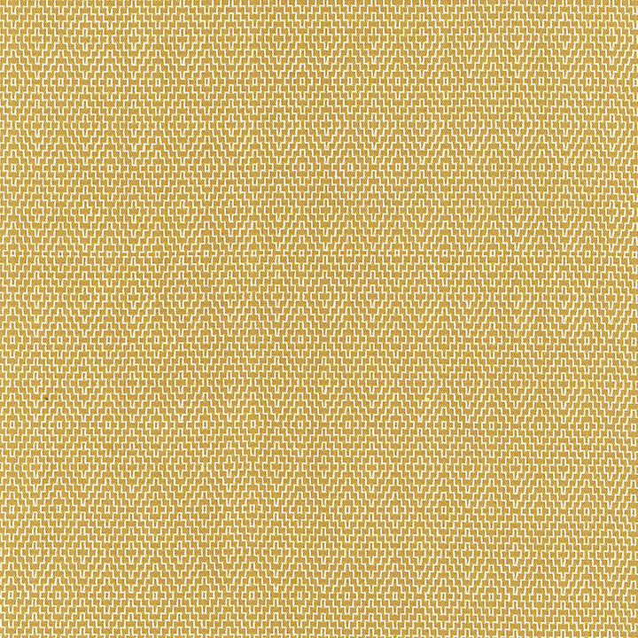 Hampton Court Diamond Chartreuse 62534 by Schumacher Fabric Schumacher Fabric Hampton Court Diamond Chartreuse 62534Fabric COTTON 100% INDIA </p><p>Repeat: H: HORZ. 7/8" (2CM) , V: VERT. 1" (3CM) 53 - Fabric Carolina -