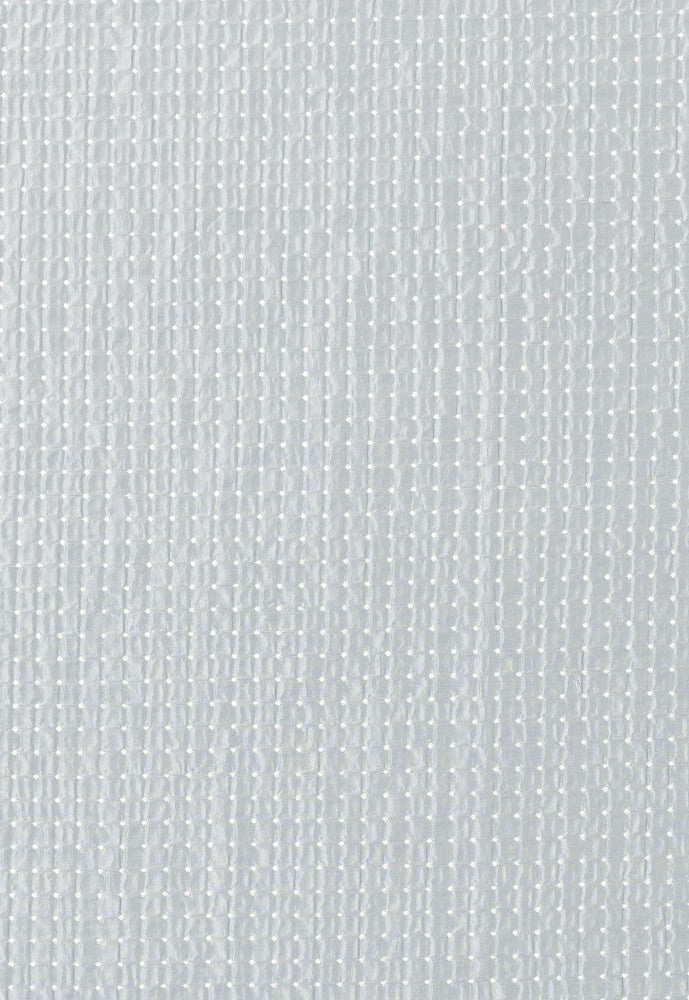 Dotted Silk Weave Glacier 62552 by Schumacher Fabric Schumacher Fabric Dotted Silk Weave Glacier 62552Fabric SILK 75% INDIA </p><p>Repeat: H: HORZ. 3/8" (1CM) , V: VERT. 3/8" (1CM) 53 - Fabric Carolina -