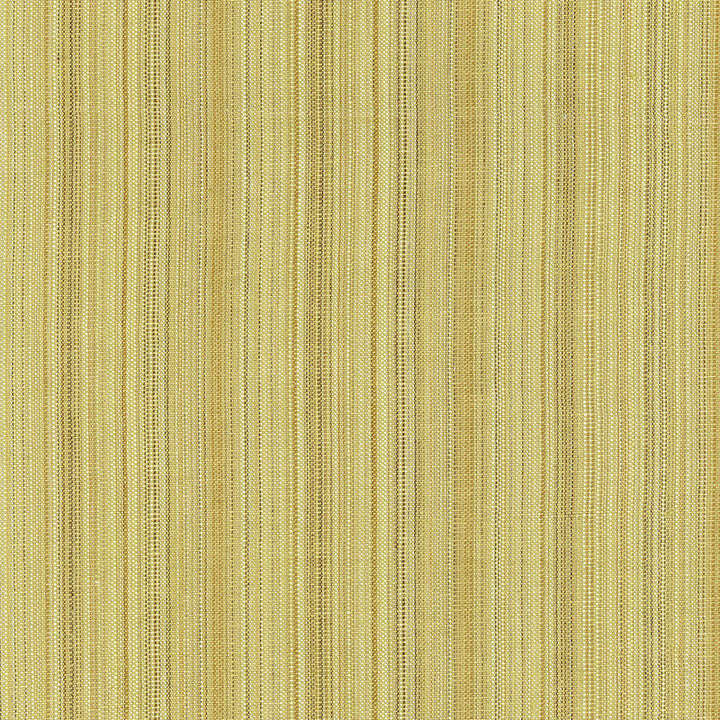 Jamestown Strie Sage 62563 by Schumacher Designer Fabric CHROMA See Sample INDIA LIGHT DUTY </p><p>Repeat: Horizontal: 3 3/8" (9CM) and Vertical: - 54 1/2" WIDE (138CM) - Swanky Fabrics -
