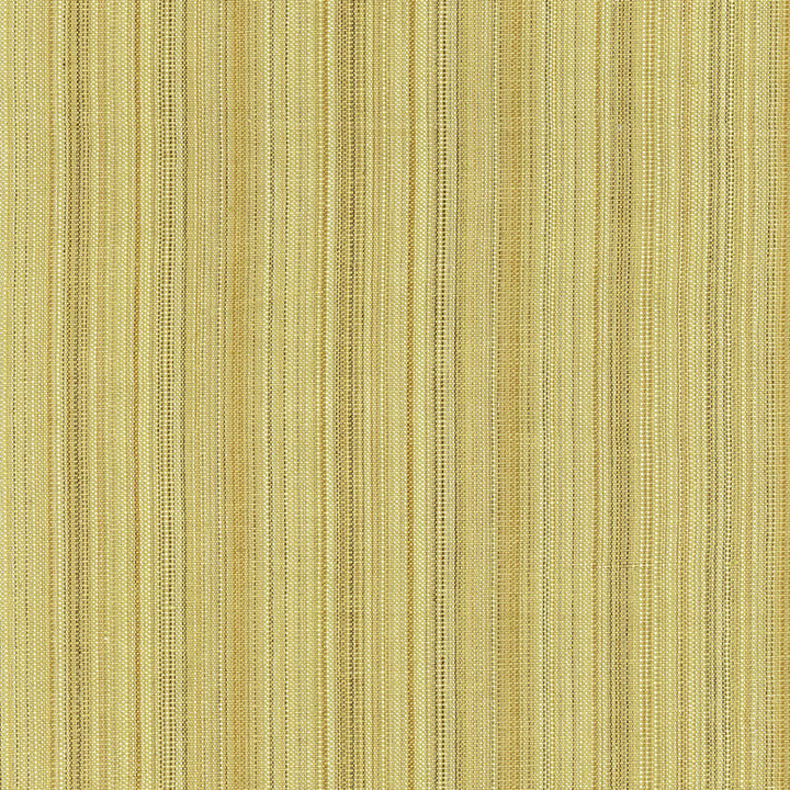 Jamestown Strie Sage 62563 by Schumacher Fabric CHROMA See Sample INDIA LIGHT DUTY </p><p>Repeat: Horizontal: 3 3/8" (9CM) and Vertical: - 54 1/2" WIDE (138CM) - Fabric Carolina -