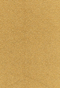 Kenya Texture Camel 62570 by Schumacher Fabric