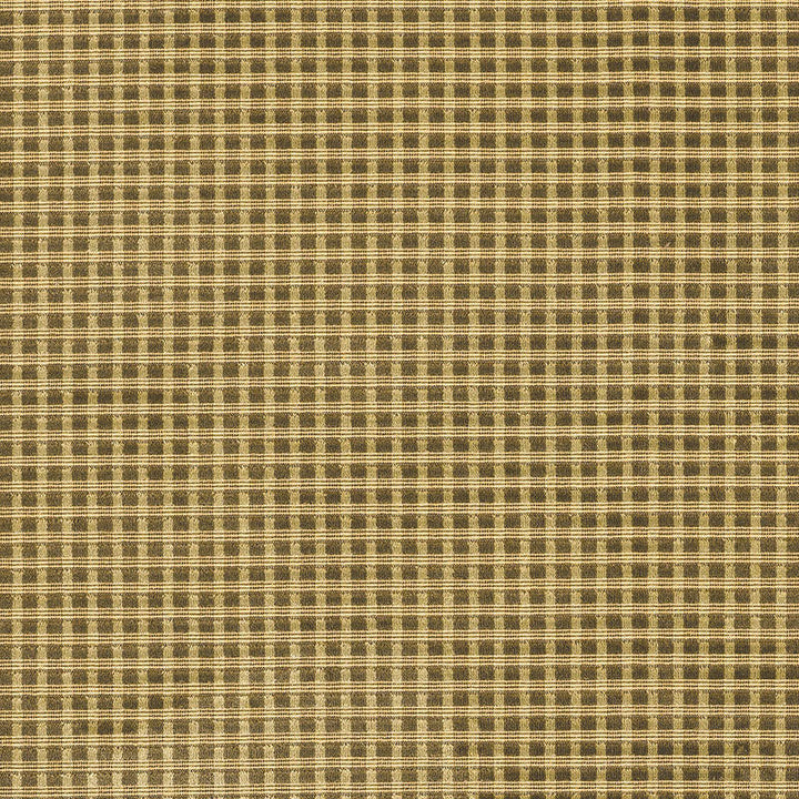 Trianon Velvet Check Moss 62593 by Schumacher Fabric CHROMA See Sample BELGIUM MEDIUM DUTY </p><p>Repeat: Horizontal: 3/8" (1CM) and Vertical: 3/8" (1CM) 53 1/2" WIDE (136CM) - Fabric Carolina -