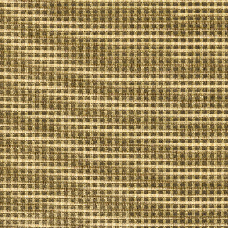 Trianon Velvet Check Moss 62593 by Schumacher Fabric Schumacher Fabric Trianon Velvet Check Moss 62593Fabric COTTON 50% BELGIUM </p><p>Repeat: H: HORZ. 3/8" (1CM) , V: VERT. 3/8" (1CM) 53.5 - Fabric Carolina -