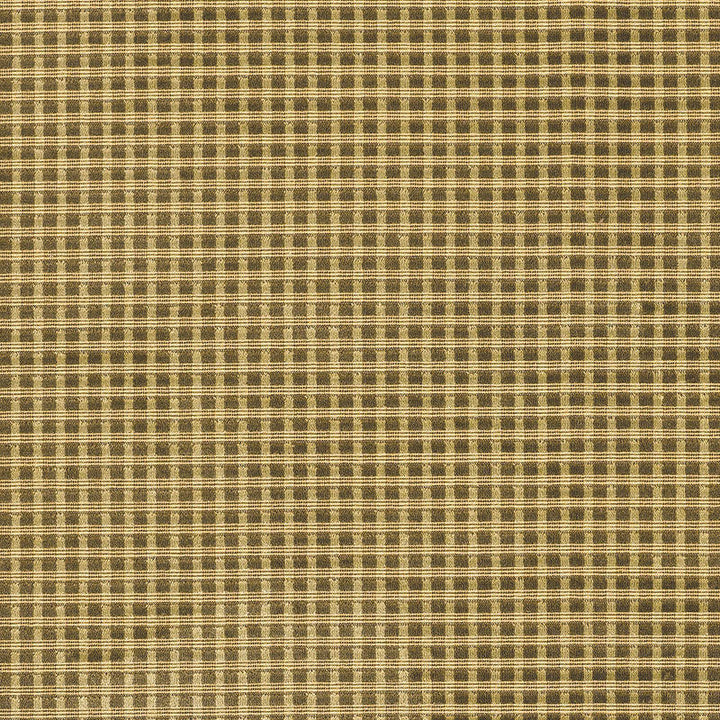Trianon Velvet Check Moss 62593 by Schumacher Fabric Schumacher Fabric Trianon Velvet Check Moss 62593Fabric COTTON 50% BELGIUM </p><p>Repeat: H: HORZ. 3/8" (1CM) , V: VERT. 3/8" (1CM) 53.5 - Fabric Carolina -