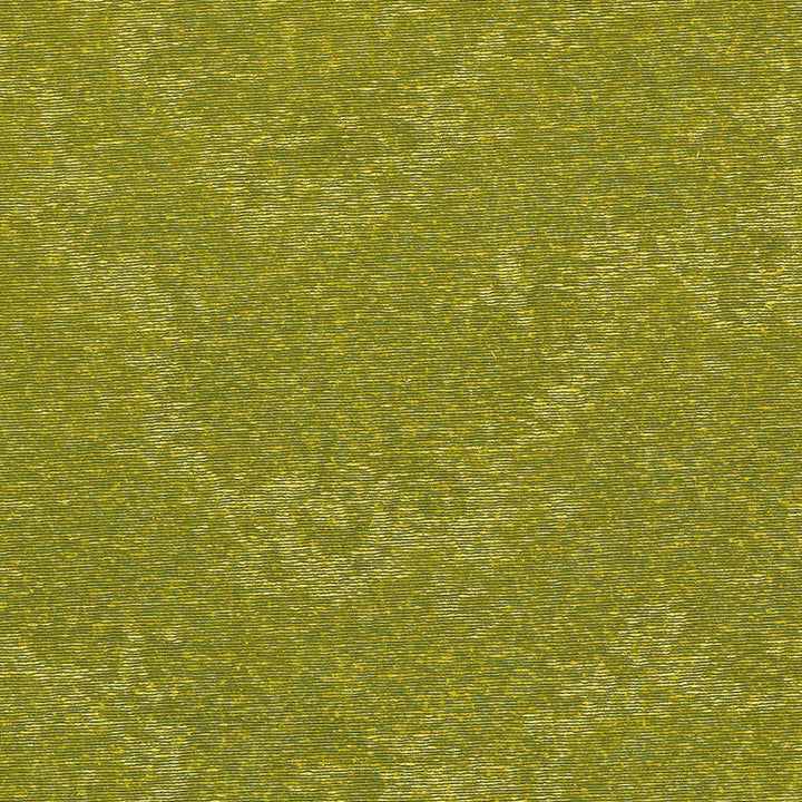 Cumulus Grass 62625 by Schumacher Fabric MODERN GLAMOUR See Sample FRANCE . </p><p>Repeat: Horizontal: - and Vertical: - 56" WIDE (142CM) - Fabric Carolina -