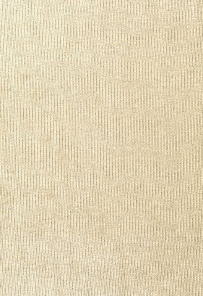 Glimmer Champagne 62637 by Schumacher Fabric Chroma 48% Viscose, 28% Polyester, 24% Cotton Martindale 15,000 Horizontal: - and Vertical: - 54 - Fabric Carolina -