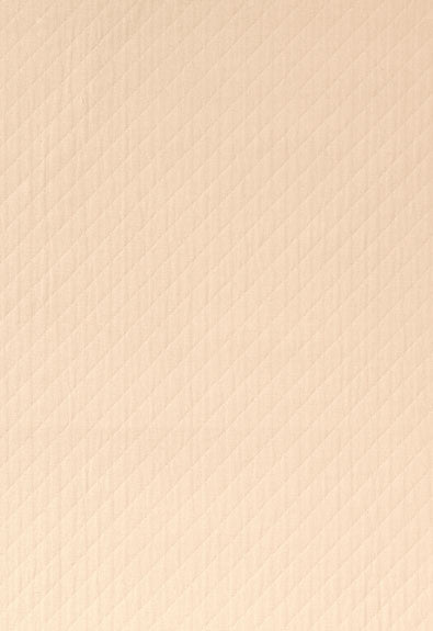 Bryce Diamond Ecru 62710 by Schumacher Designer Fabric By-Nature 100% Organic Wyzenbeek 18,000 Horizontal: 7/8- and Vertical: 1 54 - Swanky Fabrics -