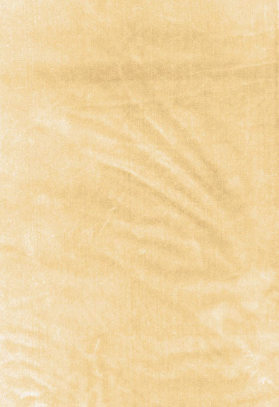 Venetian Silk Velvet Champagne 62730 by Schumacher Fabric Perfect-Basics-Venetian-Silk-Velvet 51% Silk, 49% Cotton Martindale 20,000 Horizontal: - and Vertical: - 55 - Fabric Carolina -