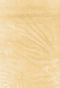 Venetian Silk Velvet Champagne 62730 by Schumacher Fabric