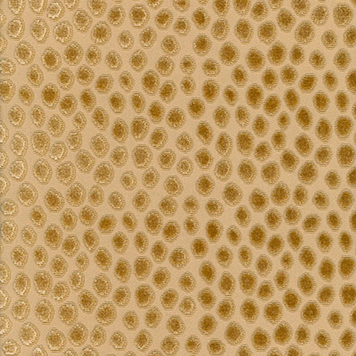 Cheetah Velvet Champagne 62821 by Schumacher Designer Fabric CLASSIC WOVENS See Sample INDIA . </p><p>Repeat: Horizontal: 6 5/8" (17CM) and Vertical: 4 1/2" (11CM) 54" WIDE (137CM) - Swanky Fabrics -