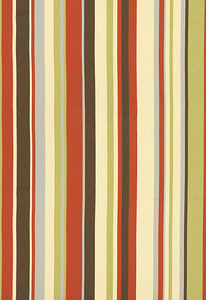 Delray Stripe Cabana 62893 by Schumacher Fabric