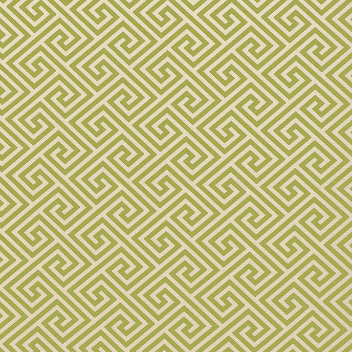 St. Tropez Avocado 62904 by Schumacher Fabric PLEIN AIR II INDOOR/OUTDOOR See Sample UNITED STATES OF AMERICA HEAVY DUTY </p><p>Repeat: Horizontal: 3 3/8" (9CM) and Vertical: 3 1/8" (8CM) 54" WIDE (137CM) - Fabric Carolina -