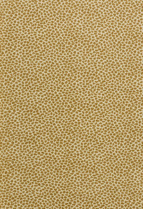 Madagascar Chenille Rattan 62921 by Schumacher Fabric