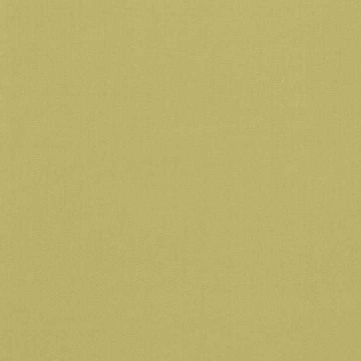 Avery Cotton Plain Sage 62949 by Schumacher Fabric PERFECT BASICS COTTON 100% INDIA MARTINDALE 12,000 </p><p>Repeat: Horizontal: and Vertical: 54 - Fabric Carolina -