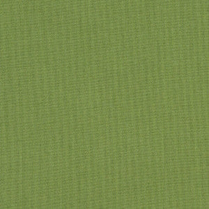 48022 77 Rain Spectrum Cilantro by Sunbrella Fabric