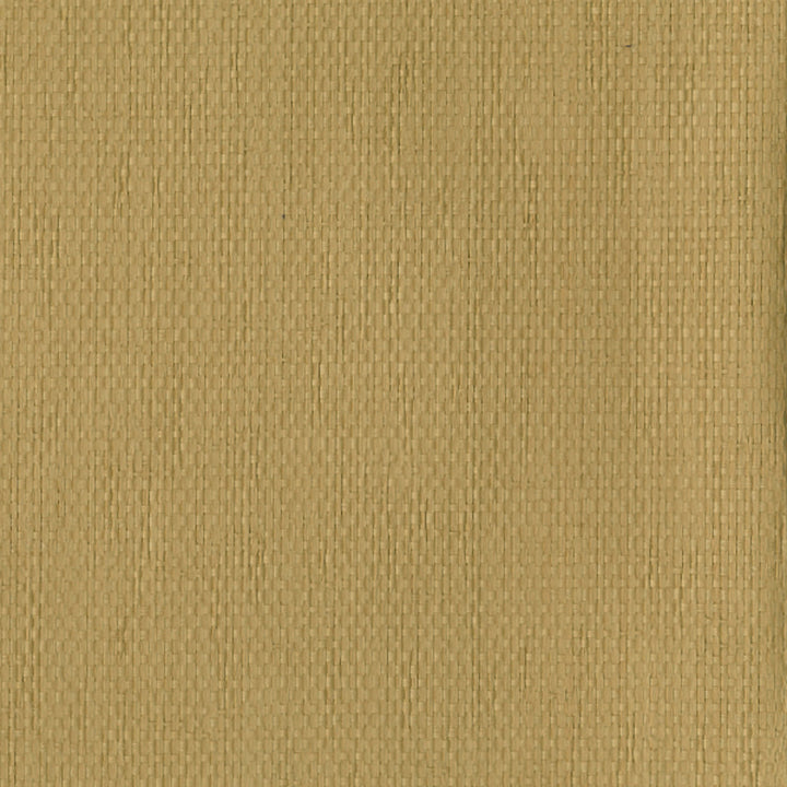 Fang Taupe Paper Weave Wallpaper by Kenneth James Shangri La Covers about 72 square feet 36-in by 24-ft long roll Unpasted 0 - Fabric Carolina -