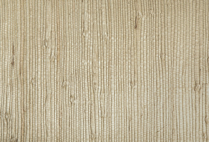 Bing Qing Beige Grasscloth Wallpaper by Kenneth James Shangri La Covers about 72 square feet 36-in by 24-ft long roll Unpasted 0 - Fabric Carolina -
