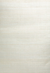 Xiao Silver Grasscloth Wallpaper by Kenneth James