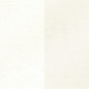 Kashi Silver Grasscloth Wallpaper by Kenneth James