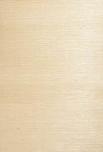 Yoshe Beige Grasscloth Wallpaper by Kenneth James
