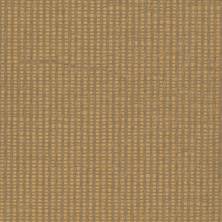 Fang Light Brown Grasscloth Wallpaper by Kenneth James Shangri La Covers about 72 square feet 36-in by 24-ft long roll Unpasted 0 - Fabric Carolina -