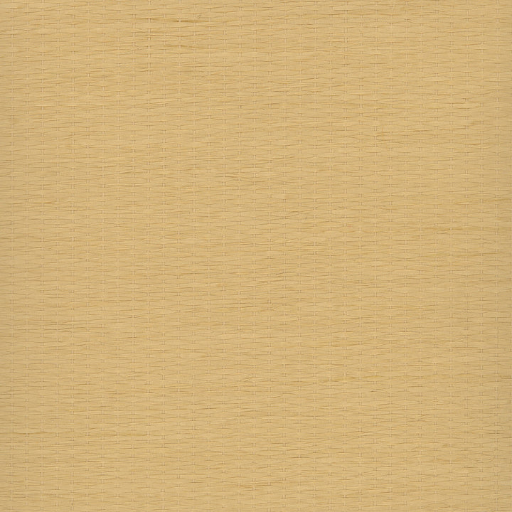 Qing Yuan Beige Grasscloth Wallpaper by Kenneth James Shangri La Covers about 72 square feet 36-in by 24-ft long roll Unpasted 0 - Fabric Carolina -