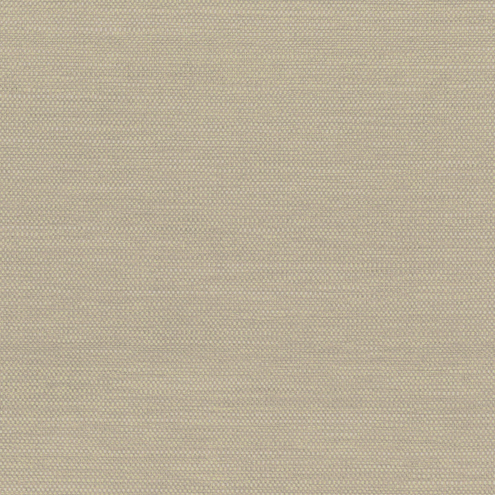 Bo Taupe Grasscloth Wallpaper by Kenneth James Shangri La Covers about 72 square feet 36-in by 24-ft long roll Unpasted 0 - Fabric Carolina -