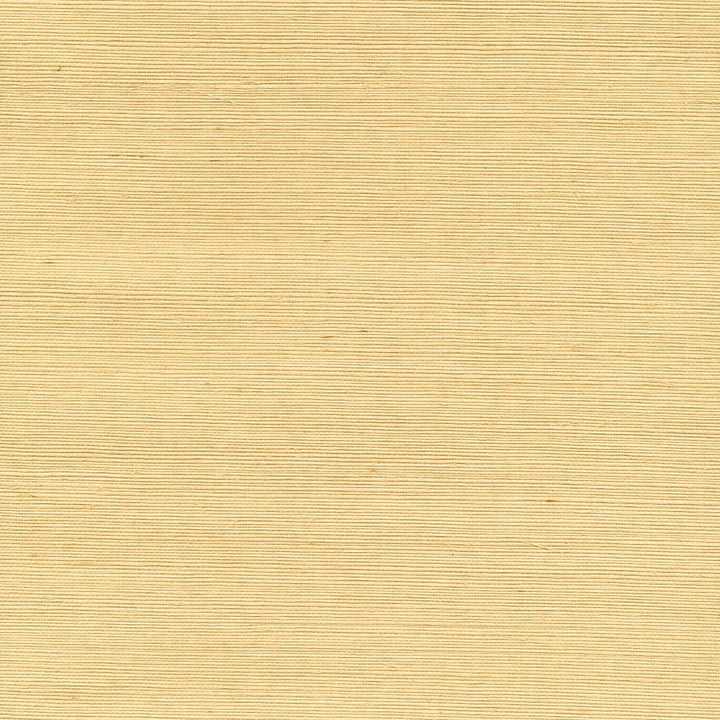 Wan Beige Grasscloth Wallpaper by Kenneth James Shangri La Covers about 72 square feet 36-in by 24-ft long roll Unpasted 0 - Fabric Carolina -