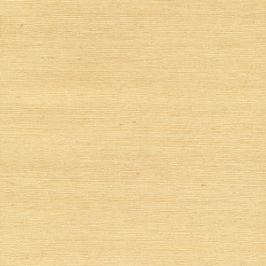 Wan Beige Grasscloth Wallpaper by Kenneth James