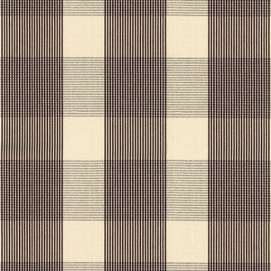 Avon Gingham Plaid Black/Ivory 63025 by Schumacher Fabric