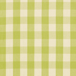 Camden Cotton Check Pear 63030 by Schumacher Fabric