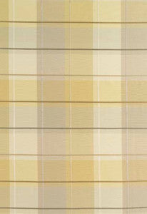 Coin Silk Plaid Alabaster 63360 by Schumacher Fabric