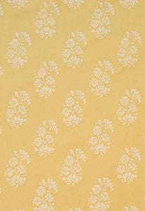 Astara Paisley Maize 63421 by Schumacher Fabric