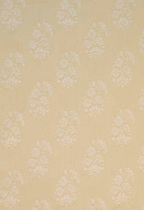 Astara Paisley Bone 63422 by Schumacher Fabric