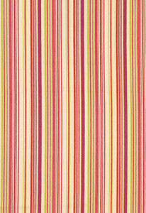 Malibu Stripe Cerise 63450 by Schumacher Fabric