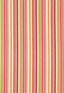 Malibu Stripe Cerise 63450 by Schumacher Fabric