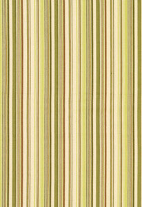 Malibu Stripe Pear 63453 by Schumacher Fabric