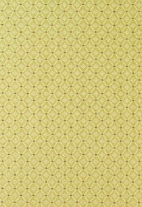 Clifton Cotton Strie Pear 63522 by Schumacher Fabric