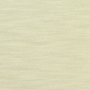 Meadow Weave Celadon 63642 by Schumacher Fabric