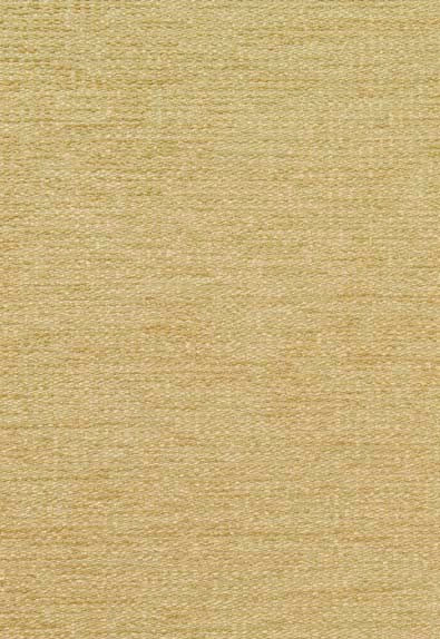 Horizon Chenille Champagne 63652 by Schumacher Fabric Chroma 54% Bamboo, 46% Organic Wyzenbeek 25,000 Horizontal: - and Vertical: - 54 - Fabric Carolina -